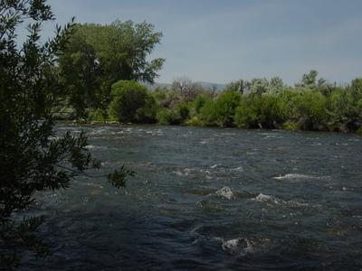 Picture of Truckee River